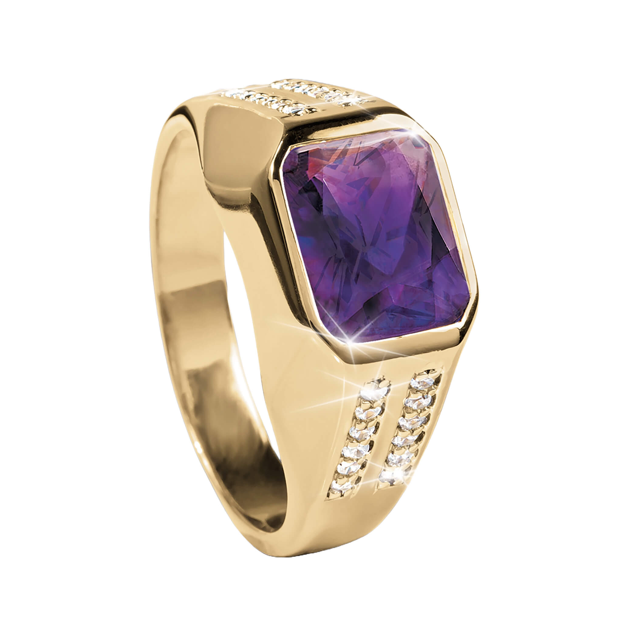 Daniel Steiger Saracen Purple Men's Ring